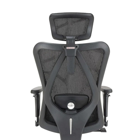 Sihoo M57 Ergonomic Office Chair with Breathable Mesh Cushion