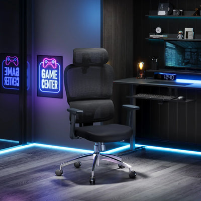 Sihoo M56C Dual-Back Ergonomic Office Chair with Soft Cushion