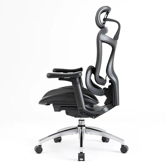 Sihoo C300 Ergonomic Office Chair with Advanced Back Support
