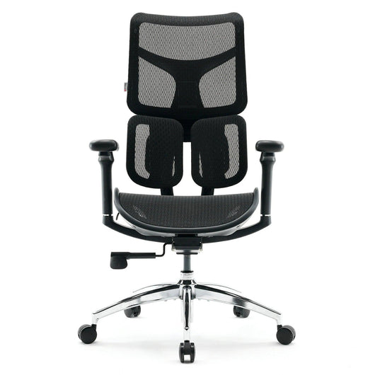 Sihoo S100 Dynamic Ergonomic Office Chair with Lumbar Support