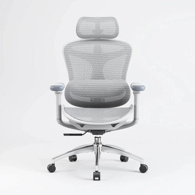 Sihoo Doro C300 Ergonomic Office Chair - Official US Sihoo Store