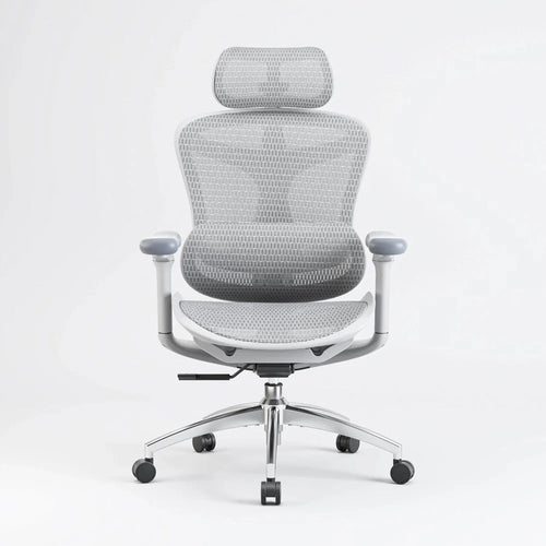 Sihoo C300 Ergonomic Office Chair with Advanced Back Support