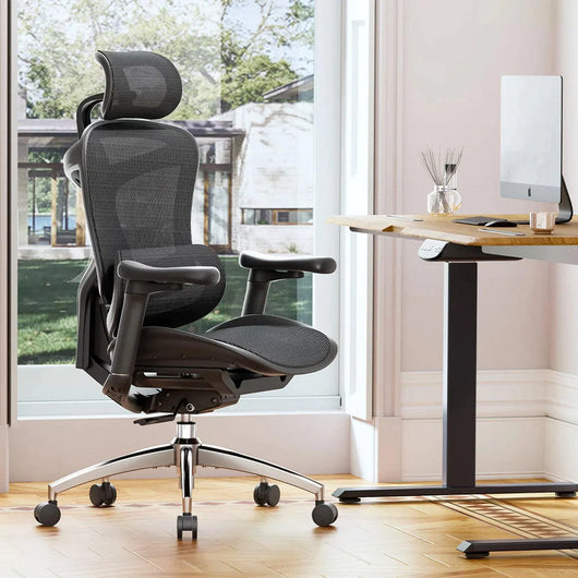 Sihoo C300 Ergonomic Office Chair with Advanced Back Support