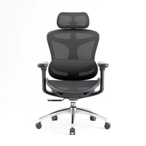 Sihoo C300 Ergonomic Office Chair with Advanced Back Support