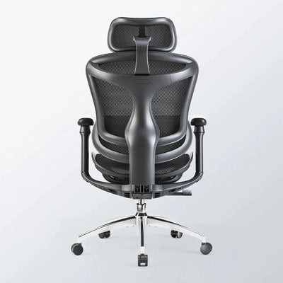 Sihoo C300 Ergonomic Office Chair with Advanced Back Support