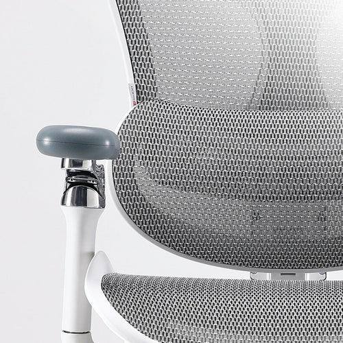 Sihoo C300 Pro Ergonomic Office Chair with Seat Depth for Long Sitting