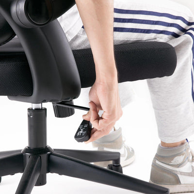 Sihoo M102C Lightweight Ergonomic Office Chair with Basic Support