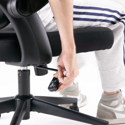 Sihoo M102C Lightweight Ergonomic Office Chair with Basic Support