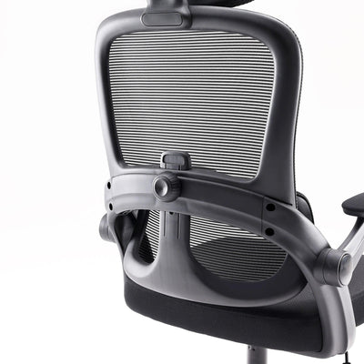 Sihoo M102C Lightweight Ergonomic Office Chair with Basic Support