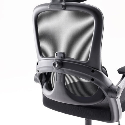 Sihoo M102C Lightweight Ergonomic Office Chair with Basic Support