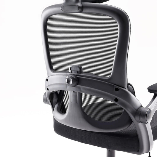 Sihoo M102C Lightweight Ergonomic Office Chair with Basic Support