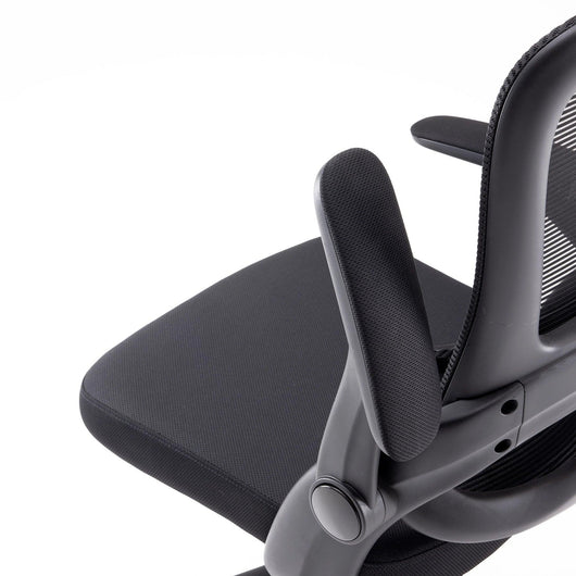Sihoo M102C Lightweight Ergonomic Office Chair with Basic Support