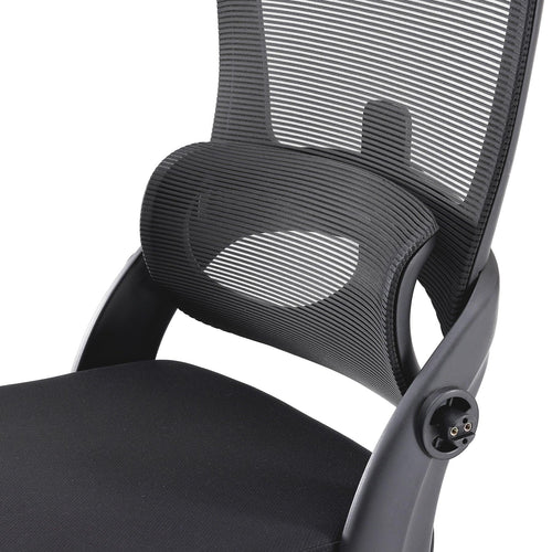Sihoo M102C Lightweight Ergonomic Office Chair with Basic Support