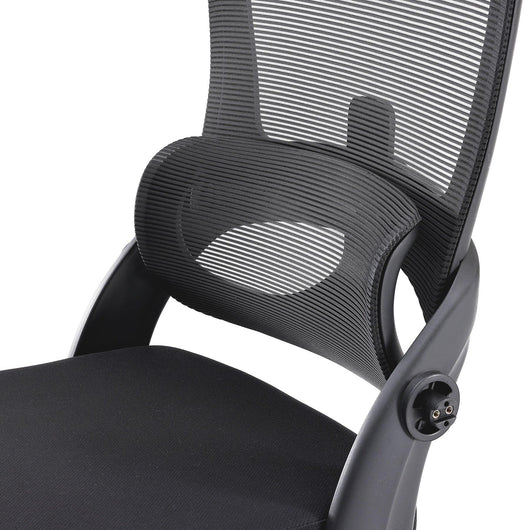Sihoo M102C Lightweight Ergonomic Office Chair with Basic Support