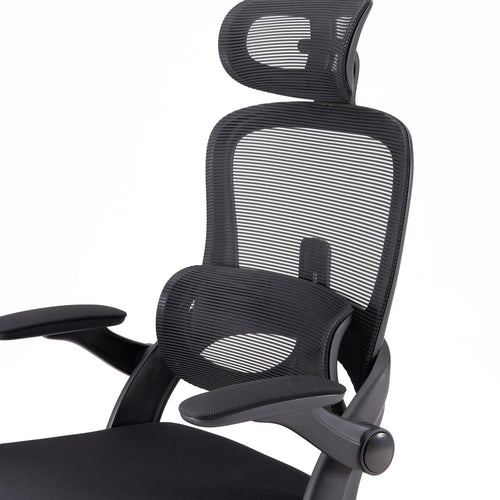 Sihoo M102C Lightweight Ergonomic Office Chair with Basic Support