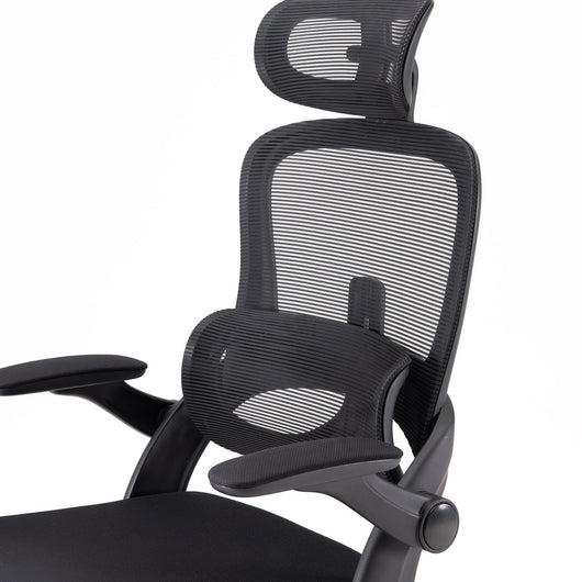 Sihoo M102C Lightweight Ergonomic Office Chair with Basic Support