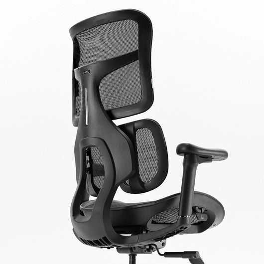 Sihoo S100 Dynamic Ergonomic Office Chair with Lumbar Support