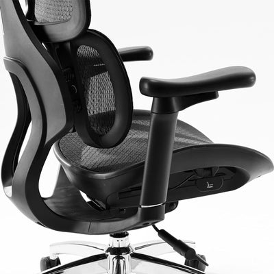 Sihoo S100 Dynamic Ergonomic Office Chair with Lumbar Support