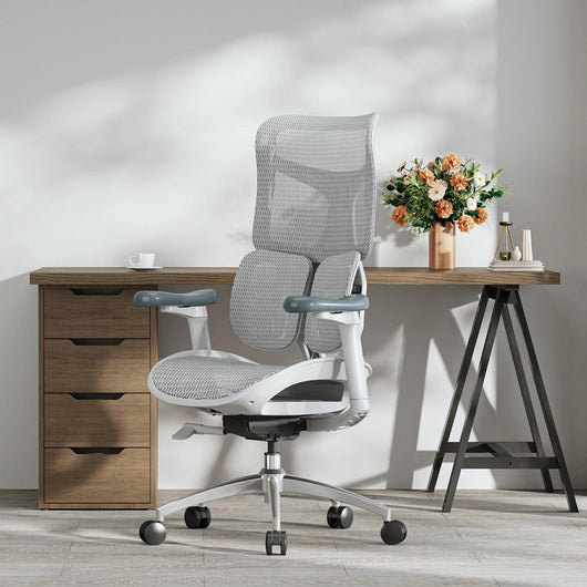 Sihoo S100 Dynamic Ergonomic Office Chair with Lumbar Support