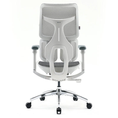 Sihoo S100 Dynamic Ergonomic Office Chair with Lumbar Support