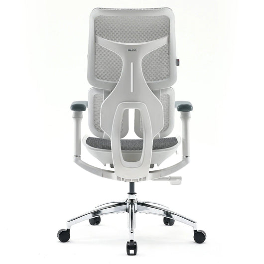 Sihoo S100 Dynamic Ergonomic Office Chair with Lumbar Support
