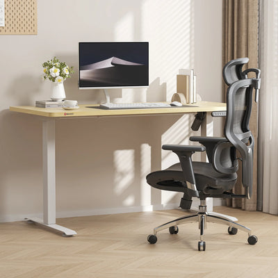 Sihoo M56B Dual-Back Ergonomic Office Chair for Better Posture