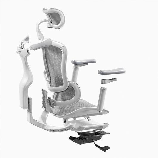 Sihoo C300 Ergonomic Office Chair with Advanced Back Support
