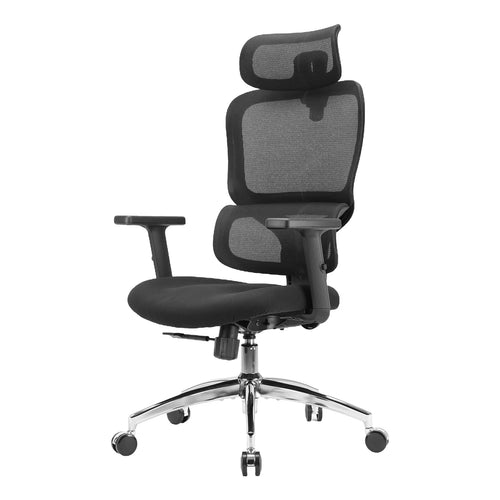 Sihoo M56C Dual-Back Ergonomic Office Chair with Soft Cushion