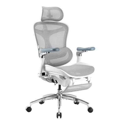 Sihoo C300 Pro Ergonomic Office Chair - Footrest Version