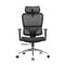 Sihoo M56C Dual-Back Ergonomic Office Chair with Soft Cushion