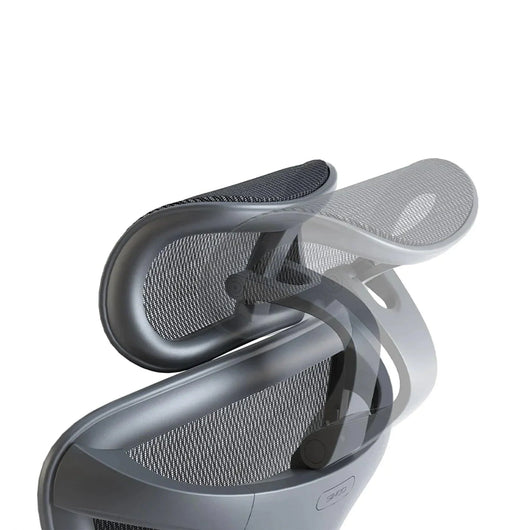 Sihoo C300 Ergonomic Office Chair with Advanced Back Support