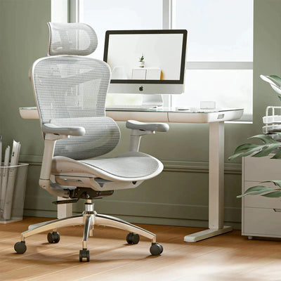 Sihoo C300 Ergonomic Office Chair with Advanced Back Support