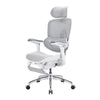 Sihoo Doro C300 Pro V2 Ergonomic Office Chair