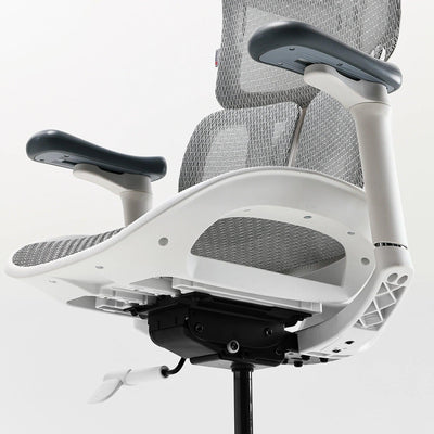 Sihoo S100 Dynamic Ergonomic Office Chair with Lumbar Support