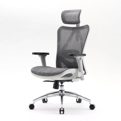 Sihoo M57 Ergonomic Office Chair with Breathable Mesh Cushion