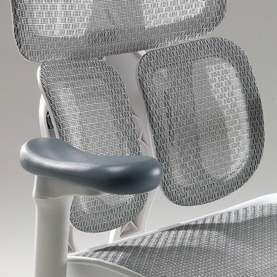 Sihoo S100 Dynamic Ergonomic Office Chair with Lumbar Support