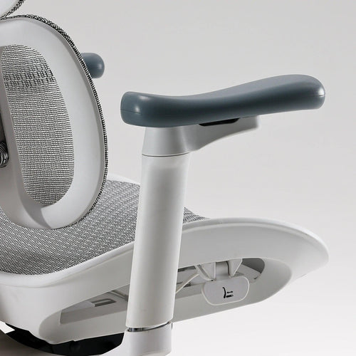 Sihoo S100 Dynamic Ergonomic Office Chair with Lumbar Support