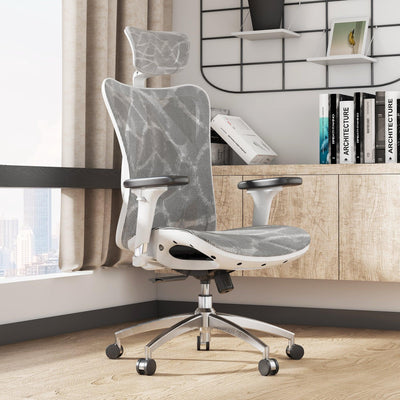 Sihoo M57 Ergonomic Office Chair with Breathable Mesh Cushion