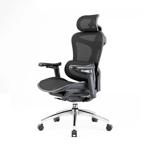 Sihoo C300 Ergonomic Office Chair with Advanced Back Support