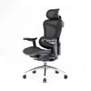 Sihoo C300 Ergonomic Office Chair with Advanced Back Support