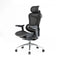Sihoo C300 Ergonomic Office Chair with Advanced Back Support