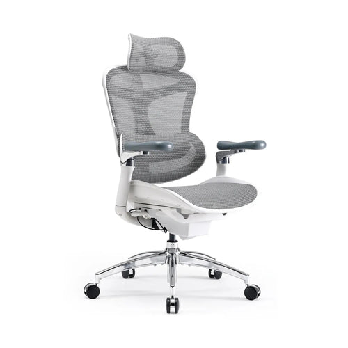 Sihoo C300 Pro Ergonomic Office Chair with Seat Depth for Long Sitting