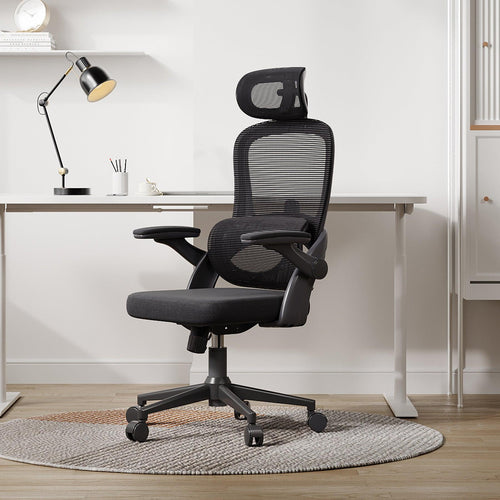 Sihoo M102C Lightweight Ergonomic Office Chair with Basic Support