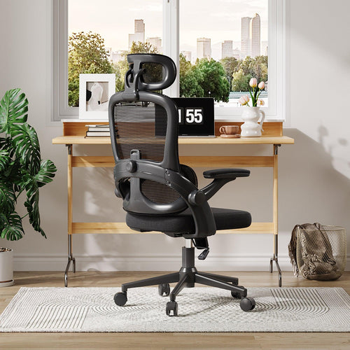 Sihoo M102C Lightweight Ergonomic Office Chair with Basic Support