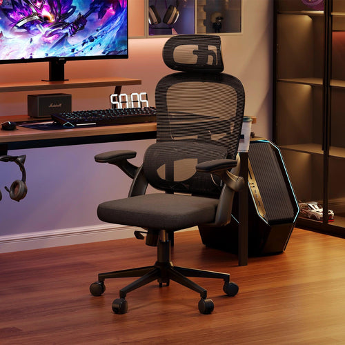 Sihoo M102C Lightweight Ergonomic Office Chair with Basic Support