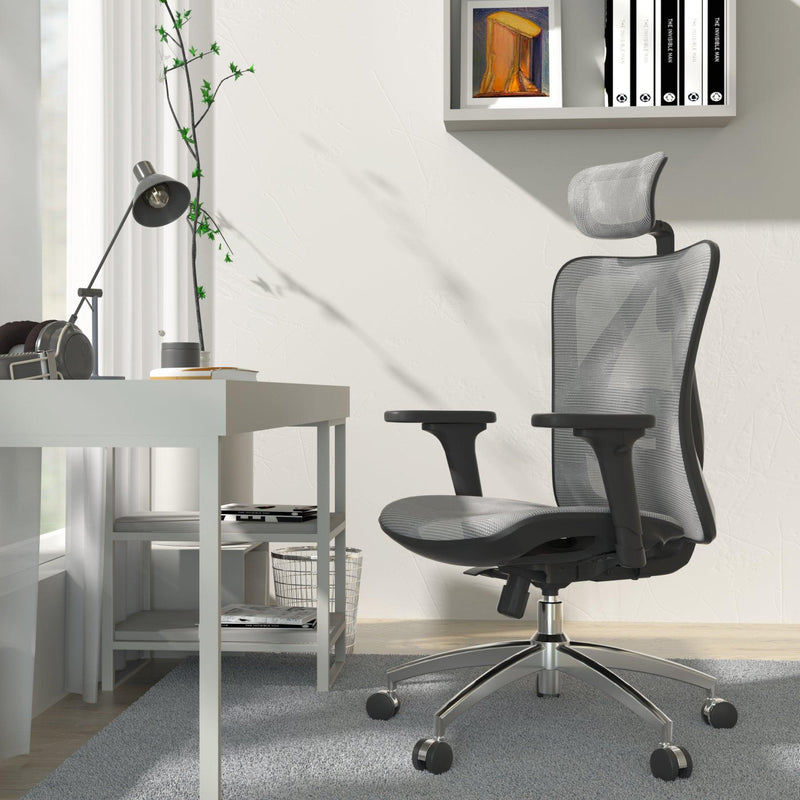 Adjustable Lumbar Support