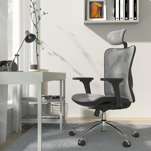 Sihoo M57 Ergonomic Office Chair with Breathable Mesh Cushion