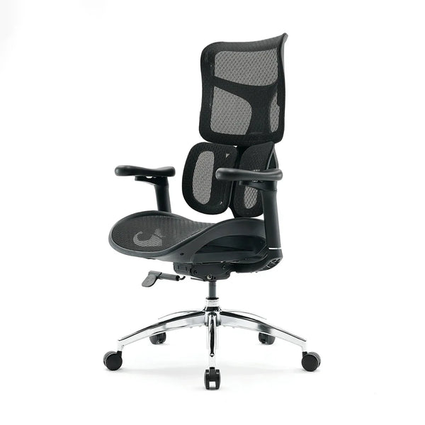 Sihoo S100 Dynamic Ergonomic Office Chair with Lumbar Support