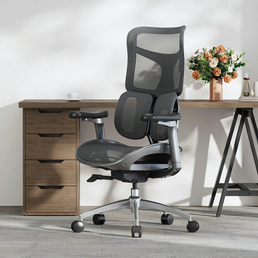 Sihoo S100 Dynamic Ergonomic Office Chair with Lumbar Support