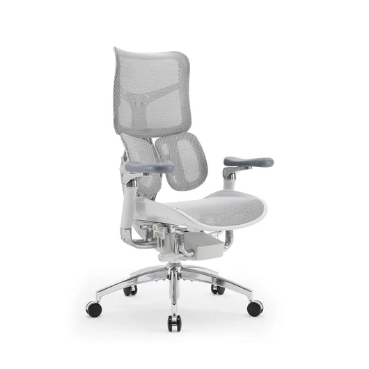 Sihoo Doro S300 "Gravity-Defying" Ergonomic Chair for Premium Comfort